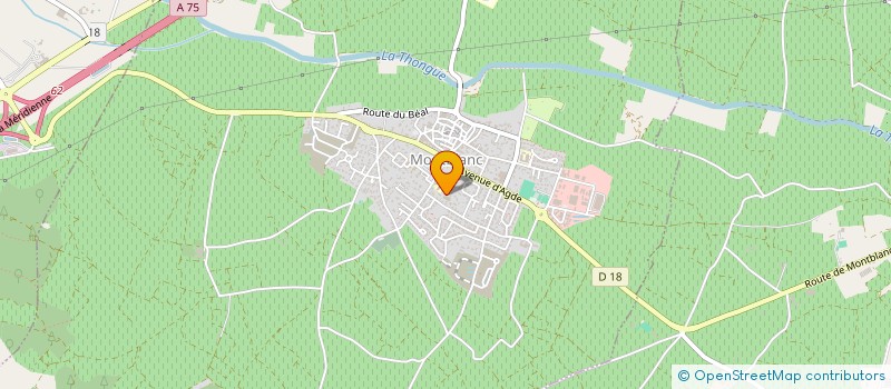 localisation de l'entreprise MONSIEUR MOUNIR EL AHDAL  MONTBLANC