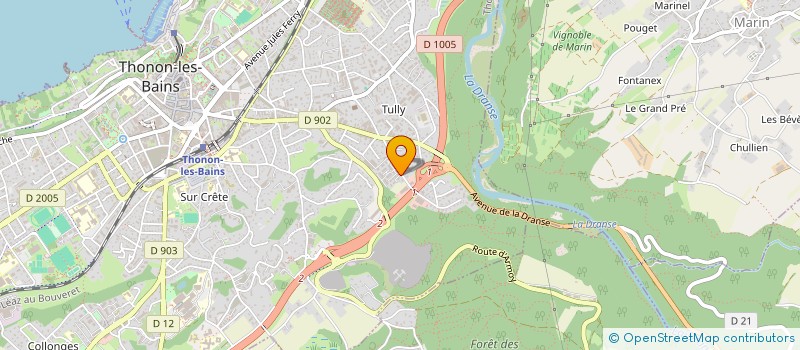 localisation de l'entreprise MONSIEUR MOUNIR RIDAOUI  THONON-LES-BAINS