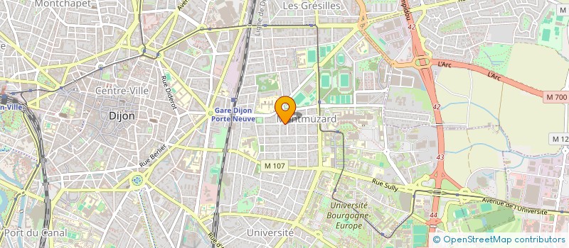 localisation de l'entreprise MONSIEUR MOUNIR TORKI à DIJON