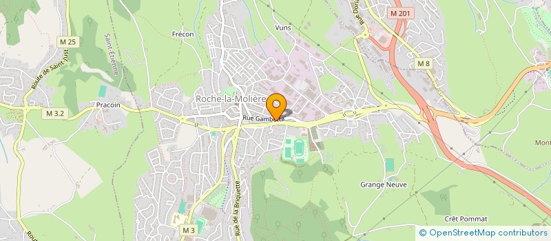 localisation de l'entreprise MONSIEUR MOUNIROU HALIDI  ROCHE-LA-MOLIERE