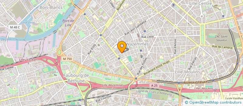 localisation de l'entreprise MONSIEUR MOUNZER RAHMOUN à LILLE