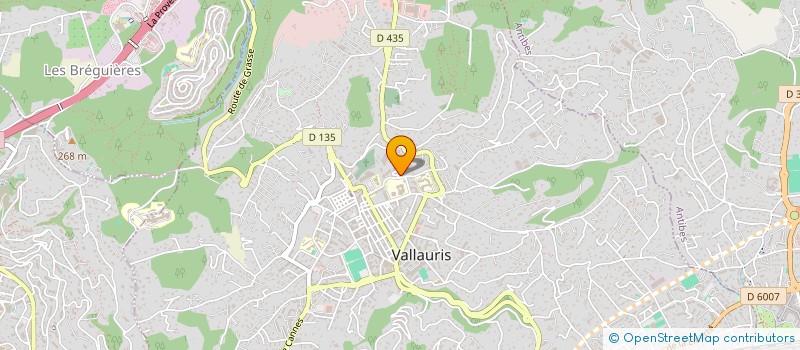 localisation de l'entreprise MONSIEUR MOURAD BEN SAID à VALLAURIS