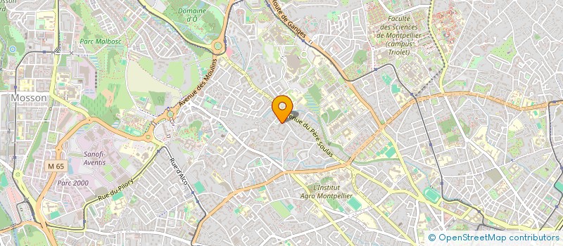 localisation de l'entreprise MONSIEUR MOURAD MEJRI à MONTPELLIER