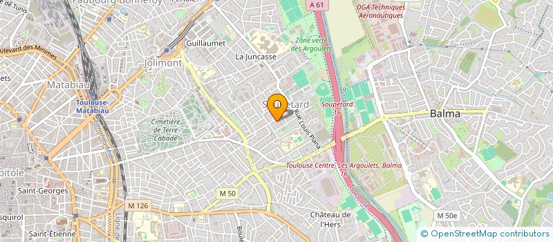 localisation de l'entreprise MONSIEUR MOUSLIM MOURTASOV  TOULOUSE