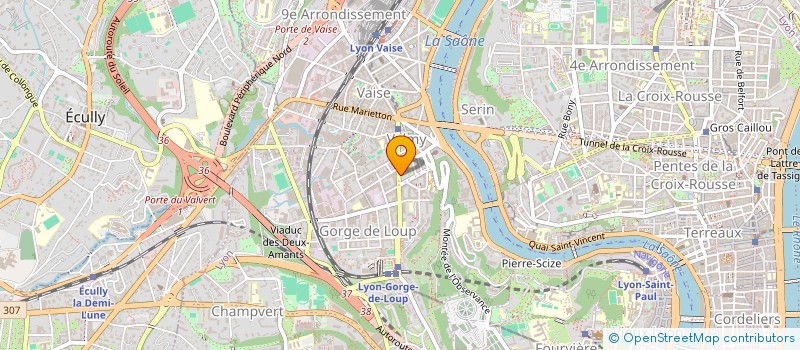 localisation de l'entreprise MONSIEUR MOUSSA BALA COULIBALY  LYON