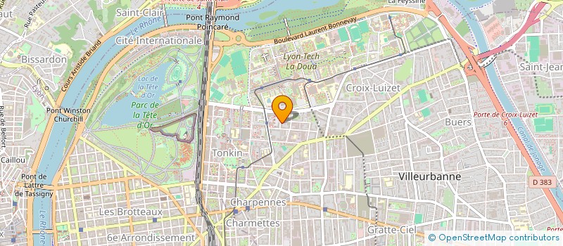 localisation de l'entreprise MONSIEUR MOUSSA DIANE  VILLEURBANNE
