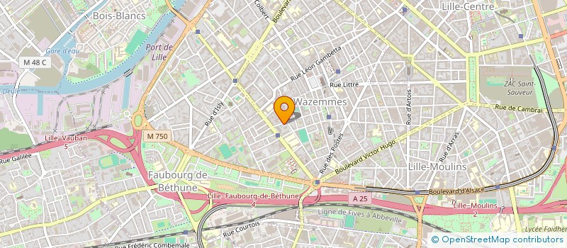 localisation de l'entreprise MONSIEUR MOUSSA TALI à LILLE