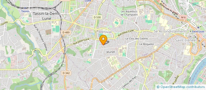 localisation de l'entreprise MONSIEUR MOUSSA TIREIRA à LYON