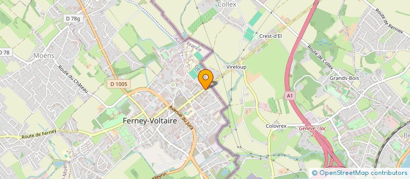localisation de l'entreprise MONSIEUR MOUSTAFA ELBELIHY à FERNEY-VOLTAIRE