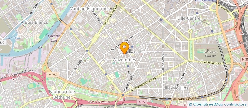 localisation de l'entreprise MONSIEUR MOUSTAPHA RAIAH à LILLE