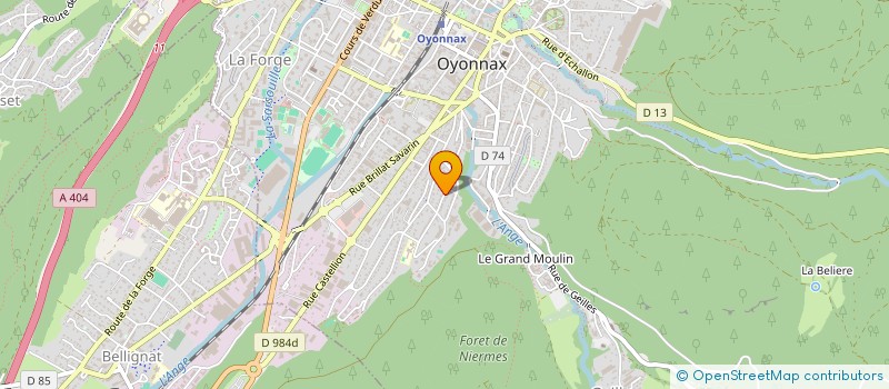 localisation de l'entreprise MONSIEUR MUHAMMER BEKCI à OYONNAX