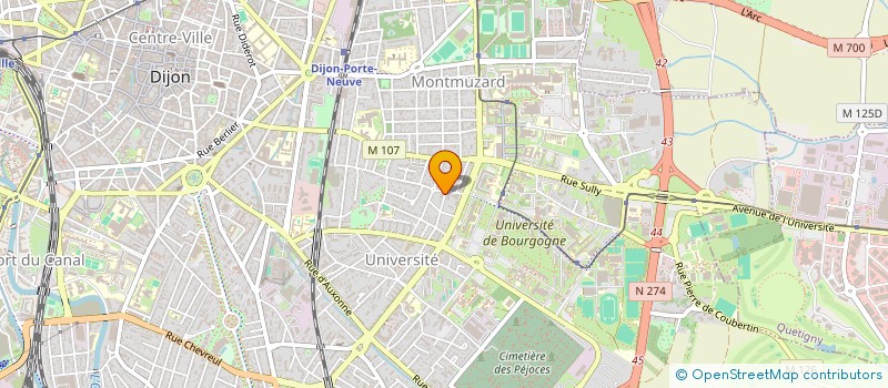 localisation de l'entreprise MONSIEUR MURAT AKGUL  DIJON