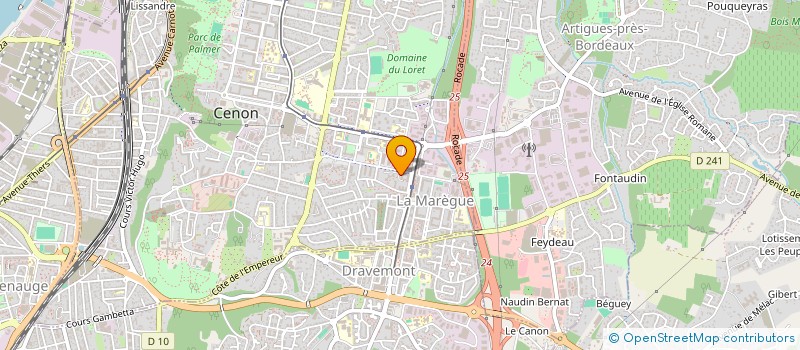 localisation de l'entreprise MONSIEUR MUSLUM CANLI à CENON