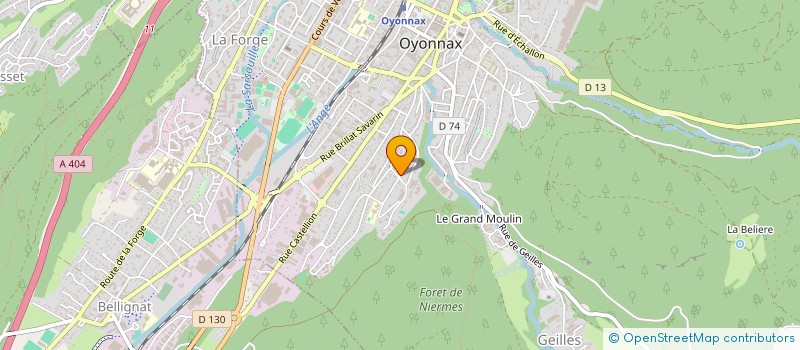 localisation de l'entreprise MONSIEUR MUSTAFAONUR ELMACI à OYONNAX