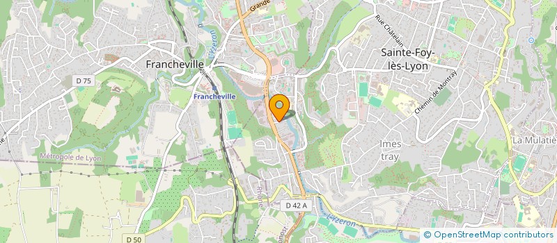 localisation de l'entreprise MONSIEUR MUTEEN MOHAMMAD  SAINTE-FOY-LES-LYON