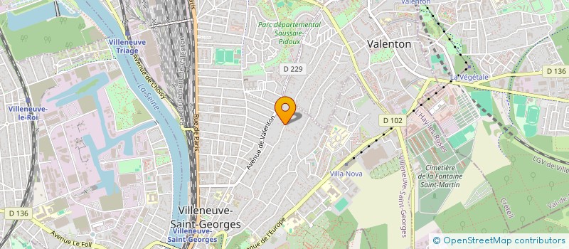 localisation de l'entreprise MONSIEUR MYCOLA LEVKIVSKYI à VILLENEUVE-SAINT-GEORGES