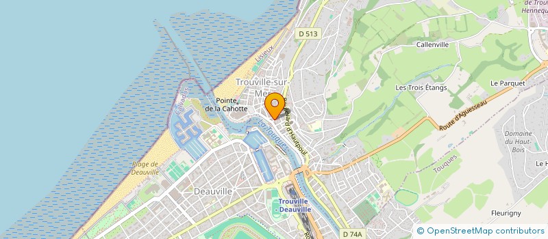 localisation de l'entreprise MONSIEUR MYKOLA KALAMANCHUK  TROUVILLE-SUR-MER