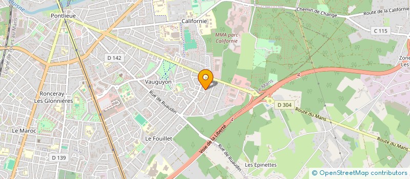 localisation de l'entreprise MONSIEUR N'FALY CISSE  LE MANS