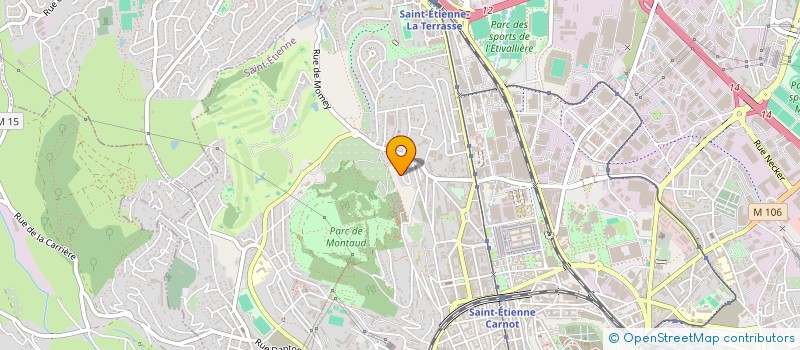 localisation de l'entreprise MONSIEUR N'FALY DIAWARA  SAINT-ETIENNE