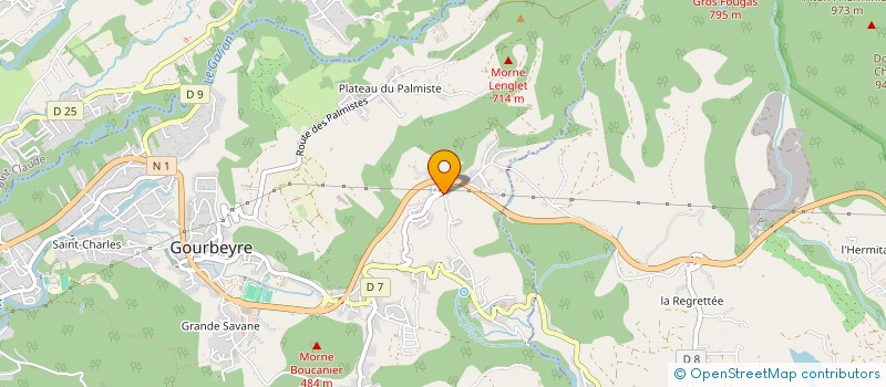 localisation de l'entreprise MONSIEUR NABERT BENJAMIN à GOURBEYRE