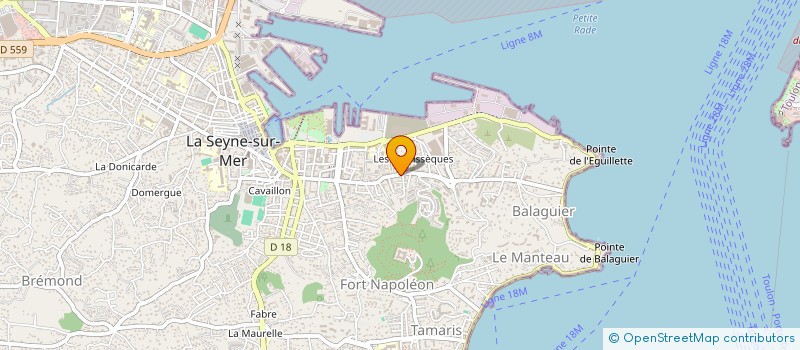 localisation de l'entreprise MONSIEUR NACERDDINE METINA à LA SEYNE-SUR-MER