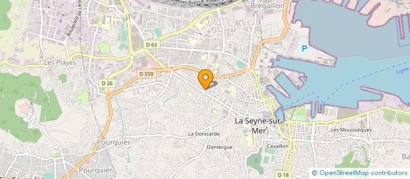 localisation de l'entreprise MONSIEUR NACEREDINE ROUMANE à LA SEYNE-SUR-MER