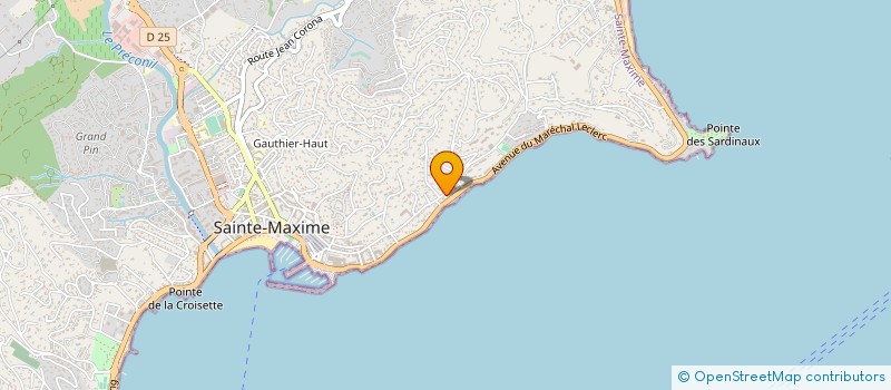 localisation de l'entreprise MONSIEUR NACEUR LADHIB à SAINTE-MAXIME