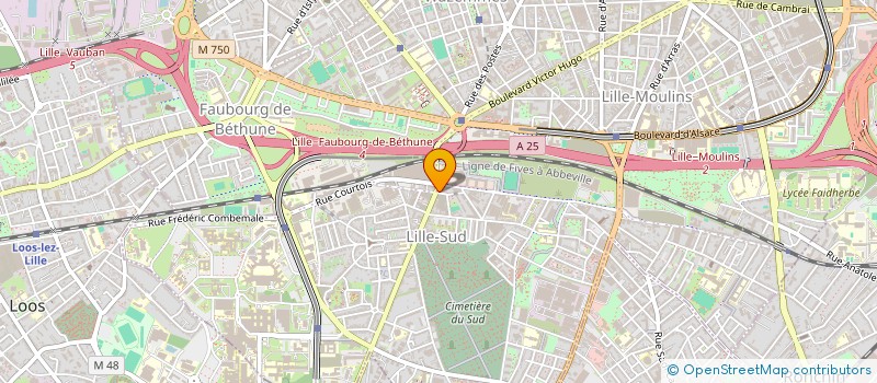 localisation de l'entreprise MONSIEUR NADA RIZK à LILLE