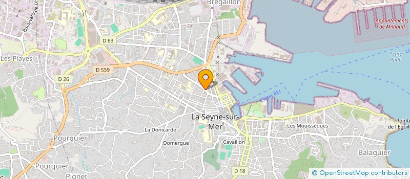 localisation de l'entreprise MONSIEUR NADER AJMIA  LA SEYNE-SUR-MER