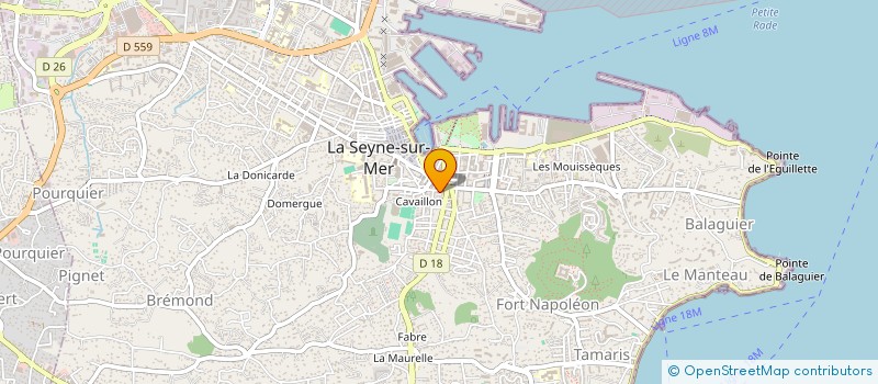 localisation de l'entreprise MONSIEUR NADER KROUT à LA SEYNE-SUR-MER