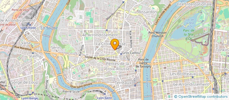 localisation de l'entreprise MONSIEUR NADIM EL HAMDI  LYON