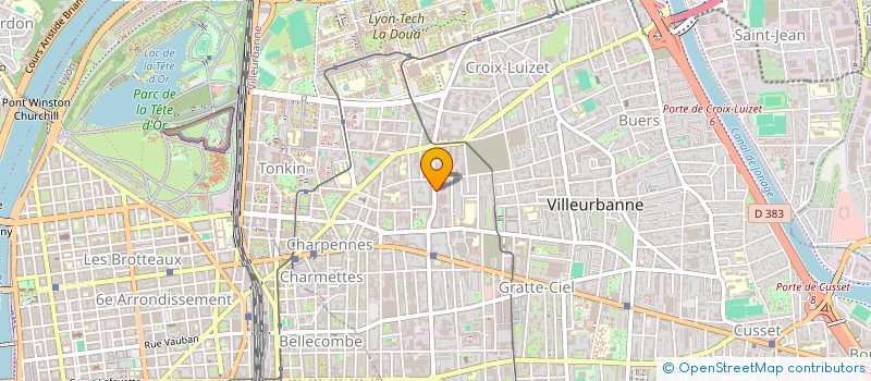 localisation de l'entreprise MONSIEUR NADIR BELAROUI  VILLEURBANNE