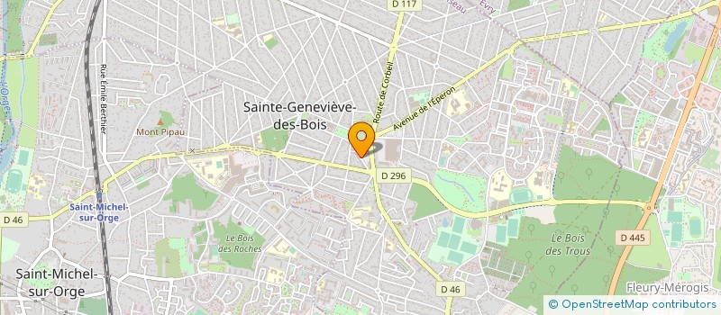 localisation de l'entreprise MONSIEUR NADIR BELCADI à SAINTE-GENEVIEVE-DES-BOIS