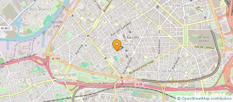 localisation de l'entreprise MONSIEUR NADIR IBALIDEN à LILLE