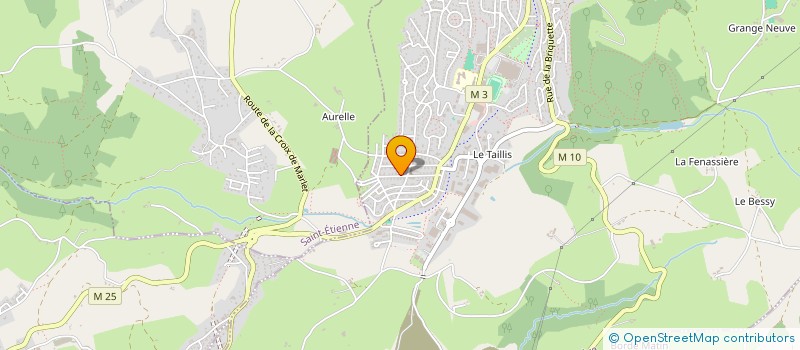 localisation de l'entreprise MONSIEUR NADIR SAYAD  ROCHE-LA-MOLIERE