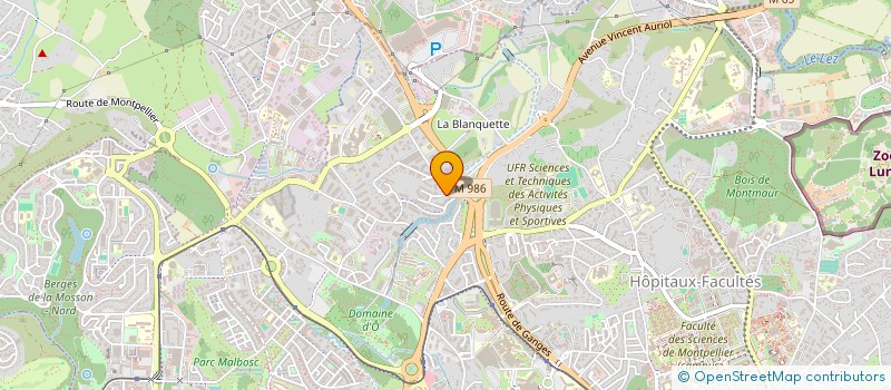 localisation de l'entreprise MONSIEUR NAEL LEVI VALENSI à MONTPELLIER