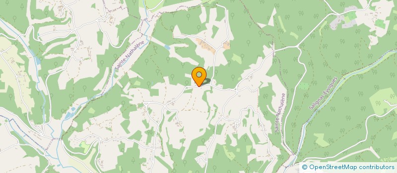 localisation de l'entreprise MONSIEUR NAEL LOISEAU  SAINTE-NATHALENE