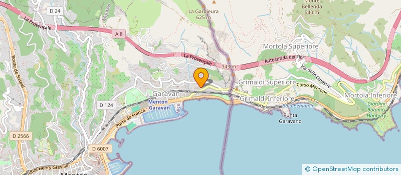 localisation de l'entreprise MONSIEUR NAHUEL DI GREGORIO à MENTON