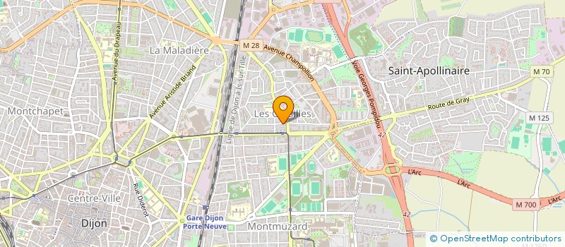 localisation de l'entreprise MONSIEUR NAIL BENOUARETH  DIJON