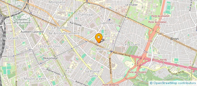 localisation de l'entreprise MONSIEUR NAIM LADIB  LYON