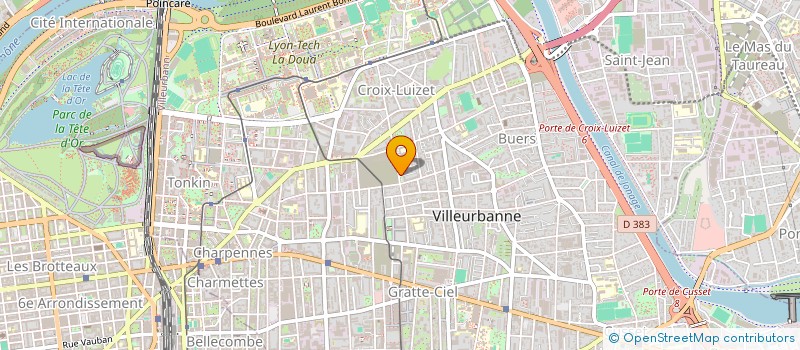 localisation de l'entreprise MONSIEUR NAIMATWALI SAFI  VILLEURBANNE