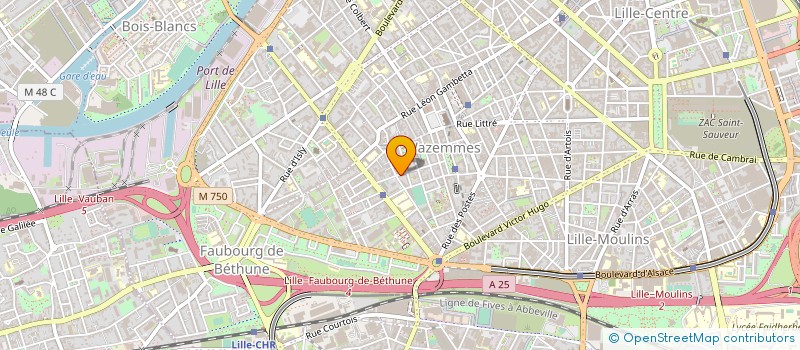 localisation de l'entreprise MONSIEUR NAJED GALLAIS à LILLE