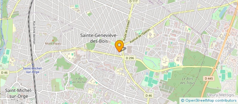 localisation de l'entreprise MONSIEUR NAJEM DIRKI  SAINTE-GENEVIEVE-DES-BOIS