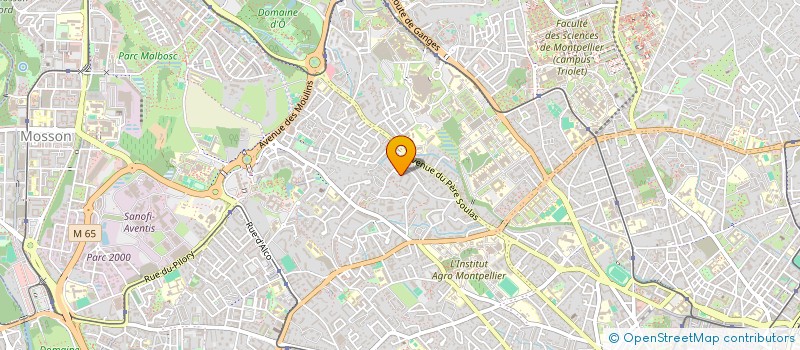 localisation de l'entreprise MONSIEUR NAJIB LABIDI à MONTPELLIER