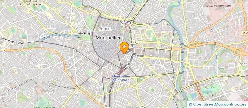 localisation de l'entreprise MONSIEUR NAMBININA RABEMANANTSOA à MONTPELLIER