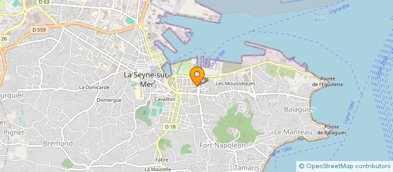 localisation de l'entreprise MONSIEUR NAOUFEL BEN ALI à LA SEYNE-SUR-MER