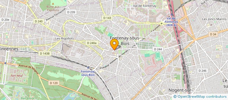 localisation de l'entreprise MONSIEUR NASIM SAOUDI à FONTENAY-SOUS-BOIS