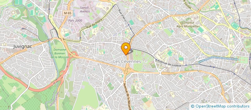 localisation de l'entreprise MONSIEUR NASRAT WALI MOHAMMADI à MONTPELLIER