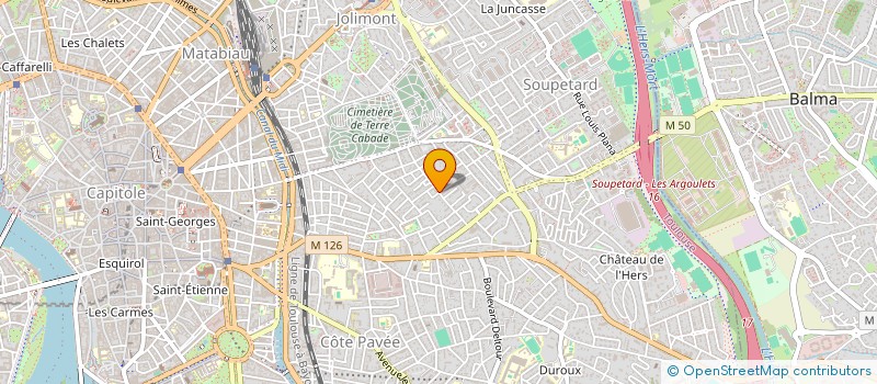 localisation de l'entreprise MONSIEUR NASREDDINE LOUMI  TOULOUSE