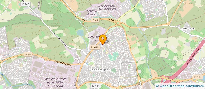 localisation de l'entreprise MONSIEUR NASSER MOHAMED à VENDARGUES